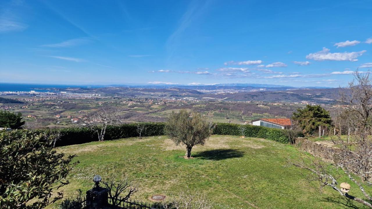 Apartma Panorama Marezige Kültér fotó